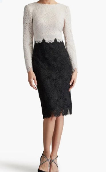 画像1: Tadashi Shoji タダシショージ 　ALFORD REVERSE V-NECK EMBROIDERED TULLE DRESS　ブラック、ホワイト (1)