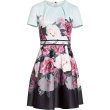 画像3: 【ドラマ使用】 Ted Baker テッドベイカー Wilmana Floral Skater Dress 06071 (3)